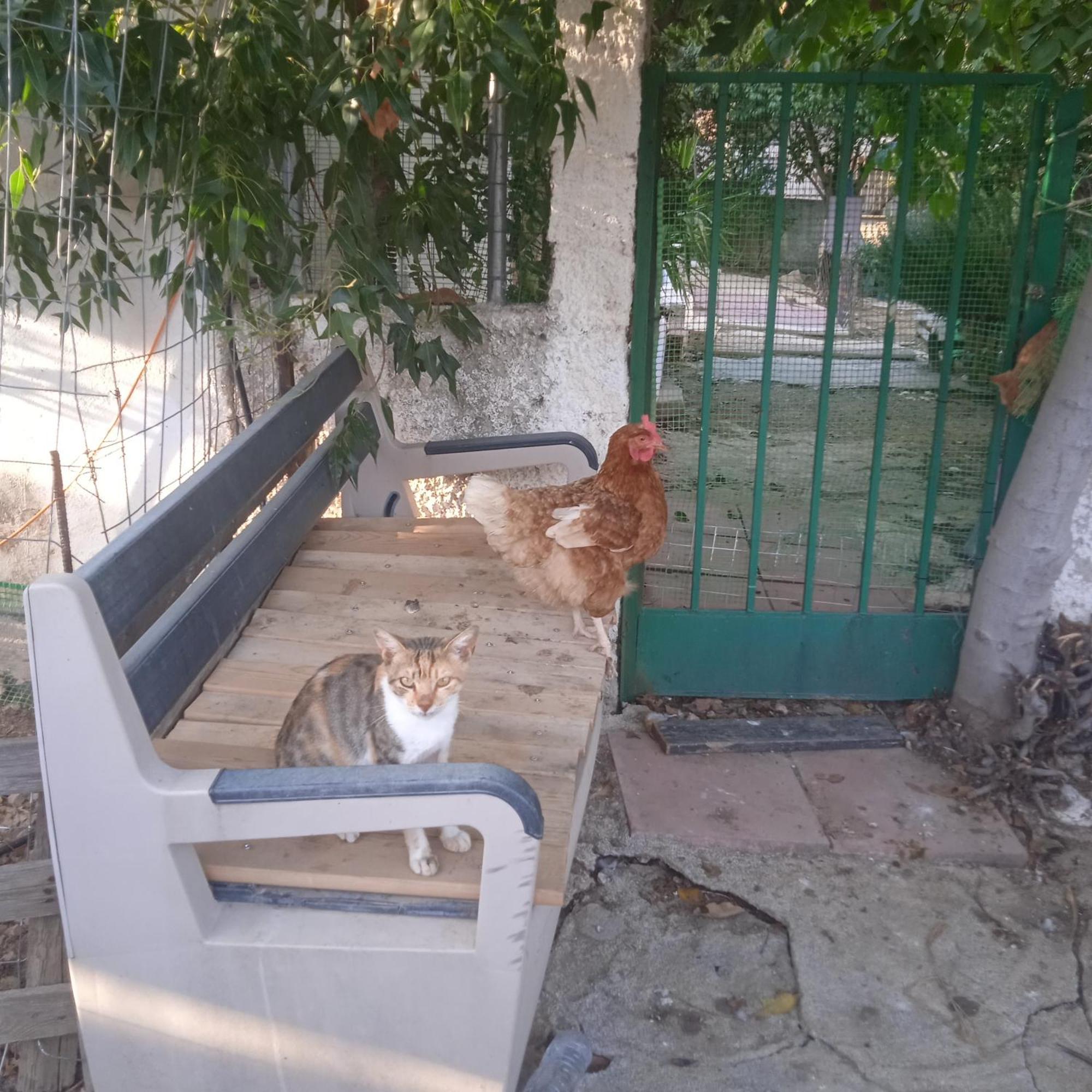 شقة Το Μικρό Σπίτι Στη Φάρμα! أخارنيس المظهر الخارجي الصورة